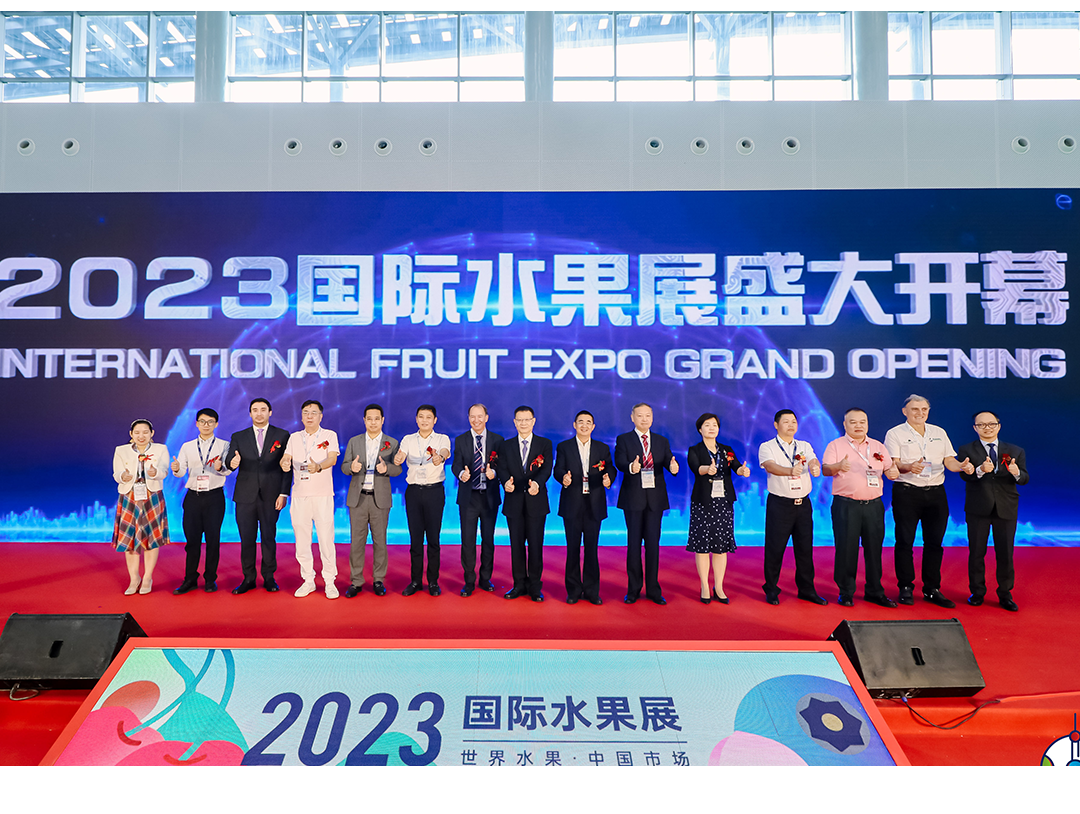 新聞資訊_安徽五星果品有限公司